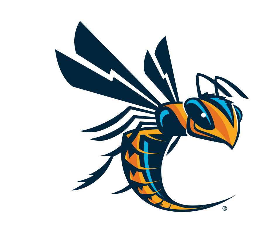 Cedarville Volleyball Camps
